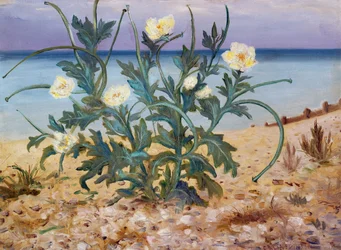 Sanddünen, Ostküste, 1944